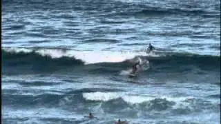 Big Island Surfers Want Paddle Boarder Regulations
