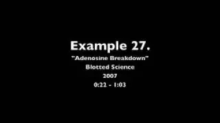 Example 27