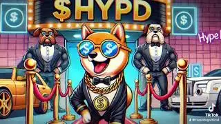 Hypedog CRYPTO Battle!