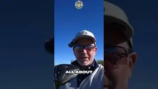 Golf Tech Sneak Peek watch all week: QI4D vs Stealth 2 Launch Monitor Data! #shorts