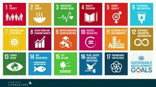 System Leadership in the Face of Dynamic Change