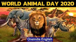 World Animal Day 2020: Watch the heart warming videos to make your day special | Oneindia News