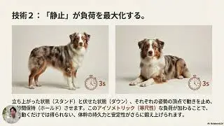 低速で質を意識したトレーニングは、健康寿命を伸ばす？！