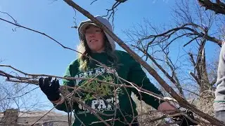 Tornado hits Rolla: Missouri S&T students aid in cleanup