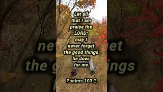 Don&rsquo;t Forget His Blessings 🙏 | Psalm 103:2 | The Better Way