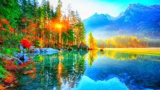 Butterflies Relaxing Music Stress Relief, butterfly Animation ,RD Relaxing Music Videos