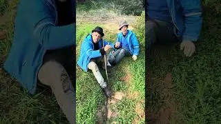 نعنوع دارها وحصل في الميلود