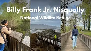 Birding at Billy Frank Jr Nisqually National Wildlife Refuge, Olympia