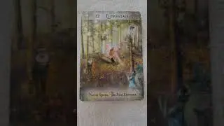 ELEMENTALS, NATURE SPIRITS & ELEMENTS
