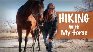 Hiking with my Horse is Harder Than You Think  - Spirit Forest - S3 -Ep#104