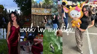 WEEKLY VLOG: Fall Wedding, Bearizona, Arizona State Fair & more!