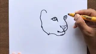 How to Draw a Leopard Face