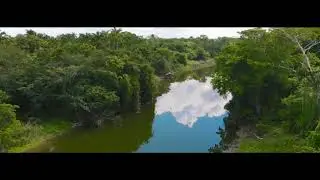 5000 Acres Of Land In Belize