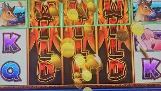 Sunset Tusk big line hit, with bonuses at Max bet