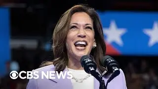 Is the Harris campaign in a honeymoon phase?