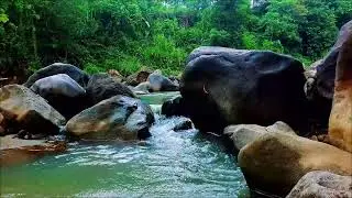 Deep Sleep River Sounds Flowing Gently Past Smooth Sand and Rounded Rocks