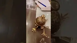Brass Frog Table Bell #shorts