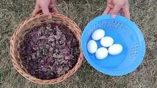 Рецепт хох восте хаах те тул по-кашмирски 😋(высушенный на солнце красный шпинат с 🥚 яйцами)👍