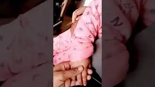 #পাখি যত আকাশে উড়ে না কেন...দিন শেষে তাকে তার নিডে পিরে যেতে হবে #