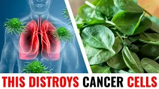 7 Cancer-Fighting Herbs You Need to Know!