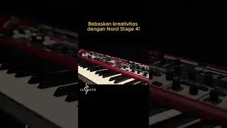 Nord Stage 4 Keyboard Pro untuk Live Performance Anda! #shorts