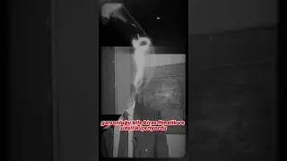 Yeşil&ccedil;amın Değer Vermediği Oyuncusu #yeşil&ccedil;am #yeşil&ccedil;amoyuncuları #shorts #shortvideo #zekisezer
