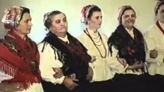 Zovi, samo zovi