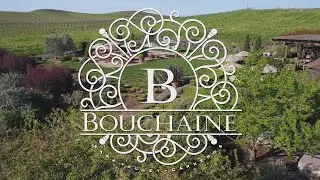 Caffe Gelato 11th Annual Bouchaine Wine Dinner with violinist Ray Chen.