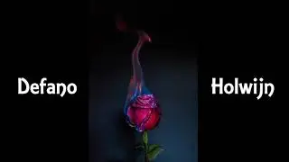 D&eacute;fano Holwijn - Rozenstruik