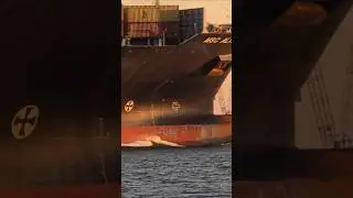 Surf's Up Fort Monroe Virginia Outlook Beach 🌊🌊#ship #vessel