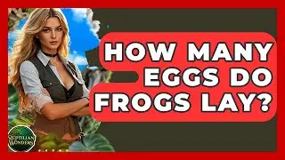 How Many Eggs Do Frogs Lay? - Reptilian Wonders
