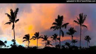Genshin x Slim Guerilla Type Beat - Prod. Copacetic