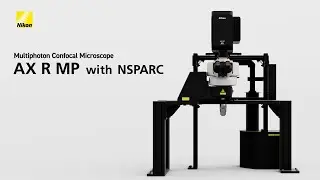 AX R MP with NSPARC - Multiphoton Confocal Microscope