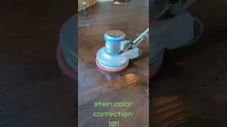 Hardwood Floor Cleaning & Maintenance: Adding stain yo bring life back to these wood floors