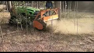 Forestry mulching project in Gilpin County, Colorado by Mountain Mulchers