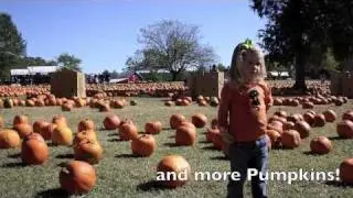 Hill Ridge Farms Hay Rides and Pumpkins