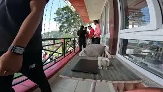 single tree glass bridge #sky #glashutte #kathmandu #nepal #popularvideo #viral #bikeride #travel 