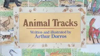 Animal Tracks - Read Alouds with Mr. Jason
