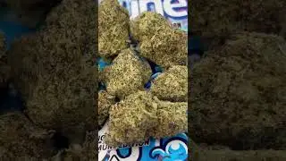 Blue Candy Fumez 🔵🍬 (Trap Pakz)⭐🥇Exotic Strains🥇⭐