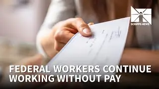 Federal workers miss first full check, SNAP benefits next to be cut