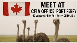 Protest at the CFIA in Port Perry 🇨🇦 The people working for the CFIA need to hear from us!!