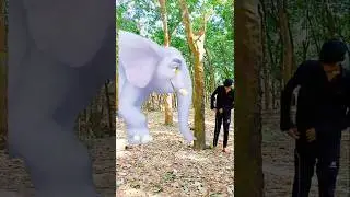 Hati and all animals 😱🙀😱 #hati #anmals