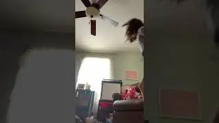 A lot of handstands what one is better 123 or four write it in the comments