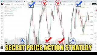 Pivot Points Indicator for MT4 & MT5 &ndash; The Price Action Strategy Pro Traders Don&rsquo;t Want You to Know!