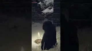 маскировка стран от бабадзаки #eldenring #fromsoftware #hard #gaming