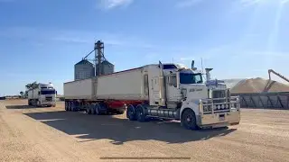 Random happenings of a day doing harvest 👌🏼www.tonestruckinstories.com #harvest #trucking #trucks