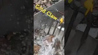 Highbanking big river gravels for Gold✨✨⛏️#goldmining #gold #miningforgold