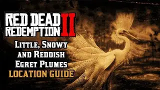 Little, Snowy and Reddish Egret Plumes - Location Guide | Red Dead Redemption 2
