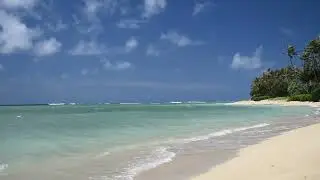 Pure Ocean Waves - Natural Sea Sounds for Sleep, Relaxation & Deep Calm
