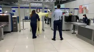 Рыбины Польша Краков